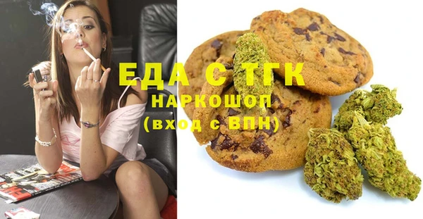 стаф Гусев