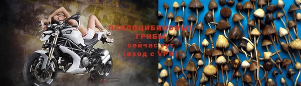 винт Иннополис